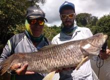 FLUTUANTE SALTO AUGUSTO - Image 8